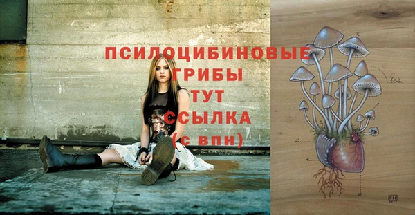 дмт Алексеевка