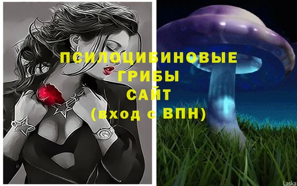 дмт Алексеевка