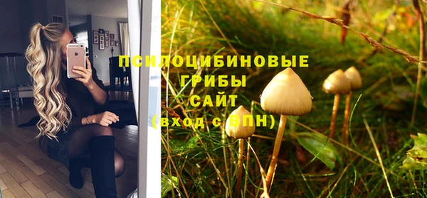 дмт Алексеевка