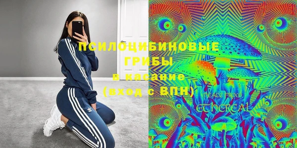 дмт Алексеевка