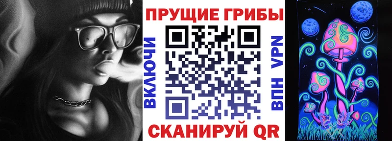 МЕГА ONION  Багратионовск  Псилоцибиновые грибы Psilocybe 